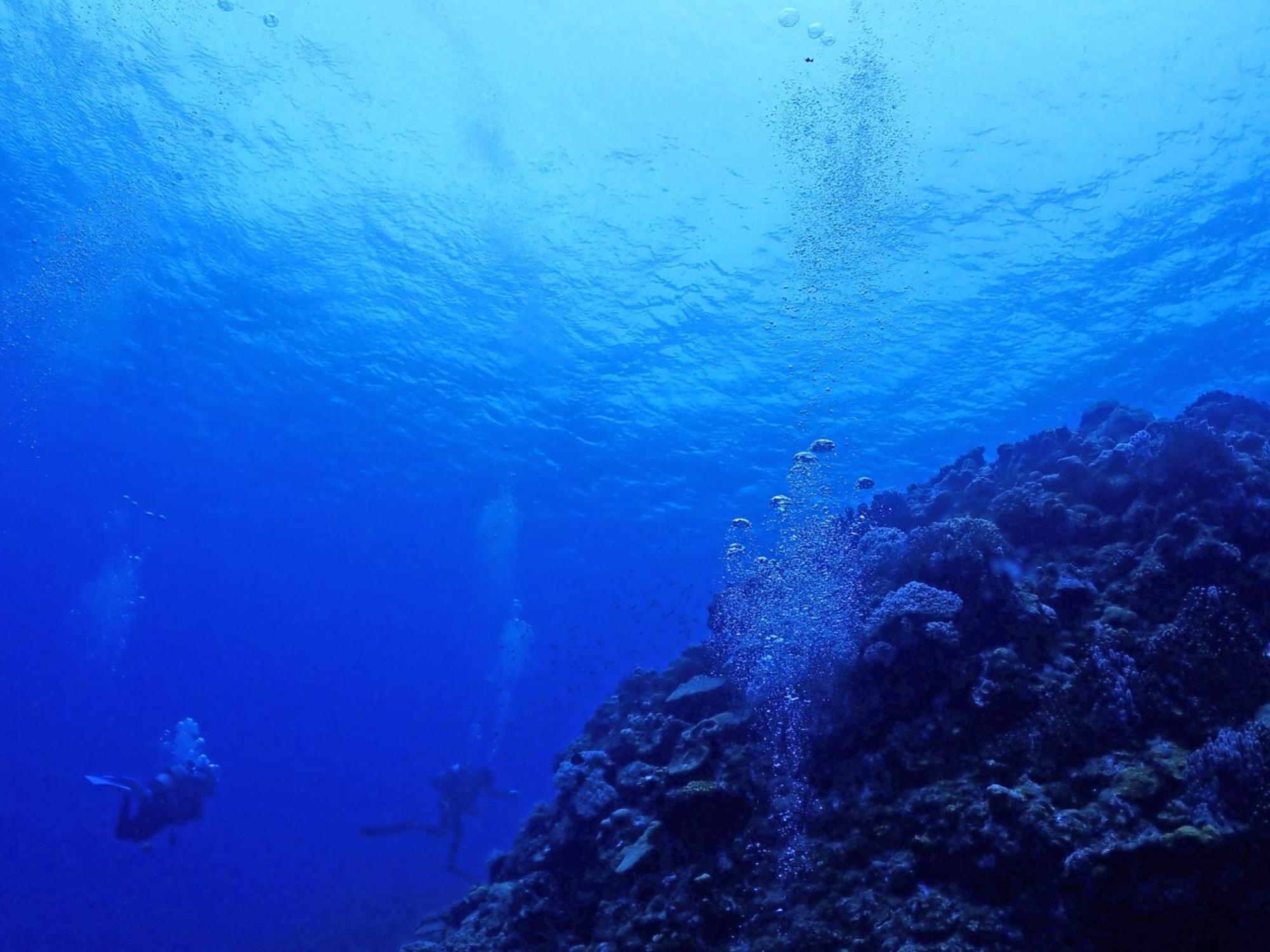 石垣島グループの宿 2216 にじいろ ユーグレナモール内 Ishigaki  Extérieur photo